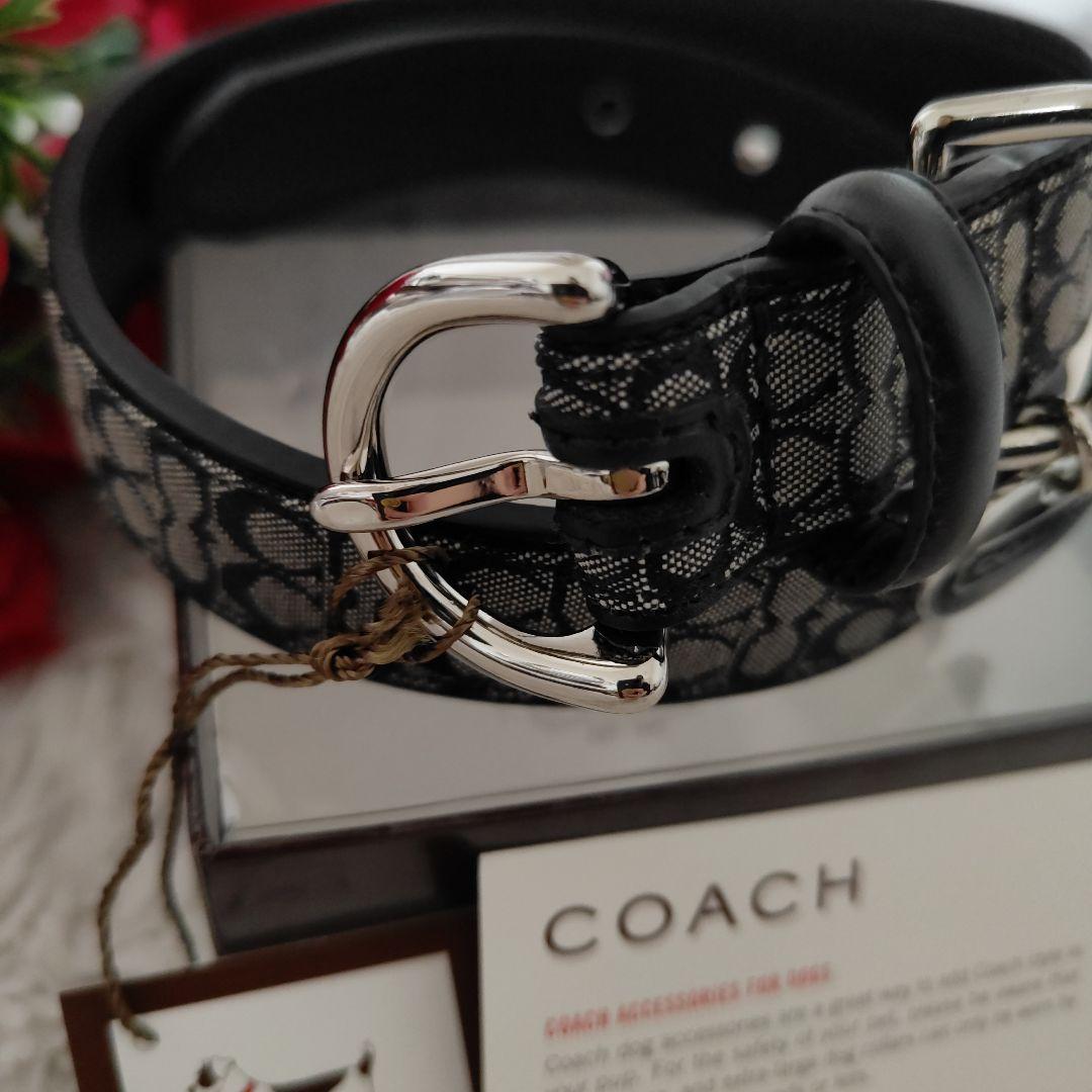新品　COACH　コーチ 犬　首輪　レザー　中型犬　大型犬　L　シグネチャー