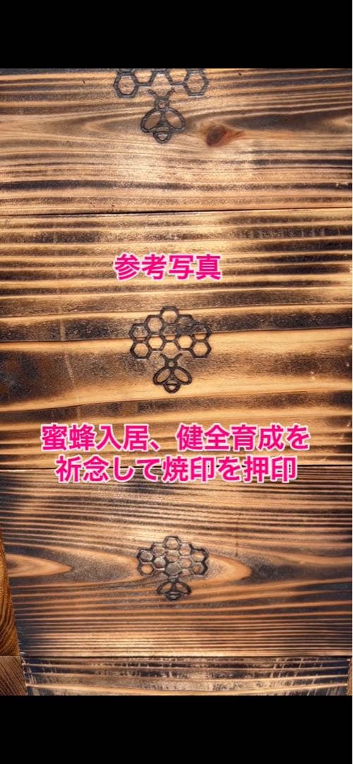 ニホンミツバチ　重箱式巣箱　営巣用巣箱4段　板厚3cm