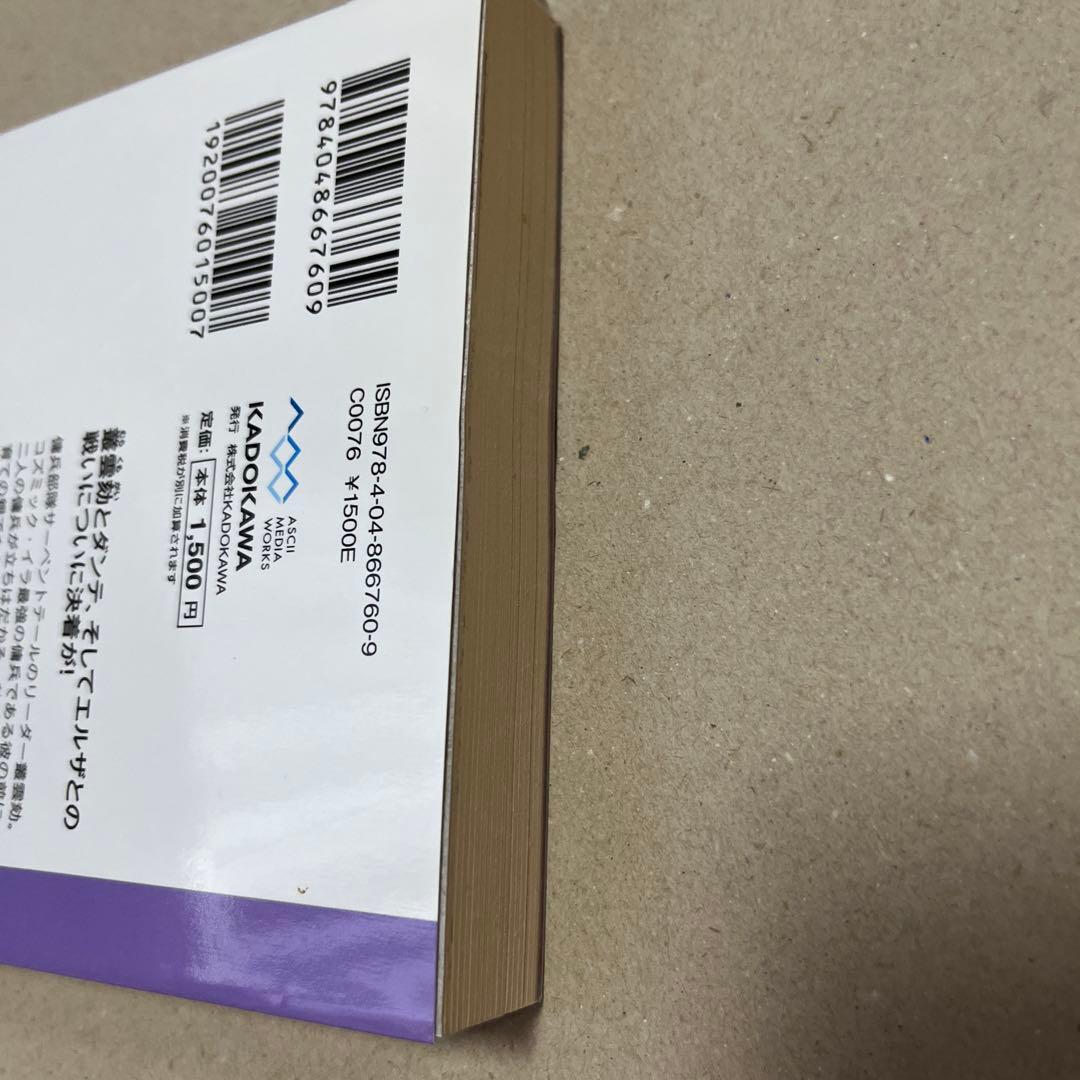 機動戦士ガンダムSEED DESTINY ASTRAY B 初版上下巻セット