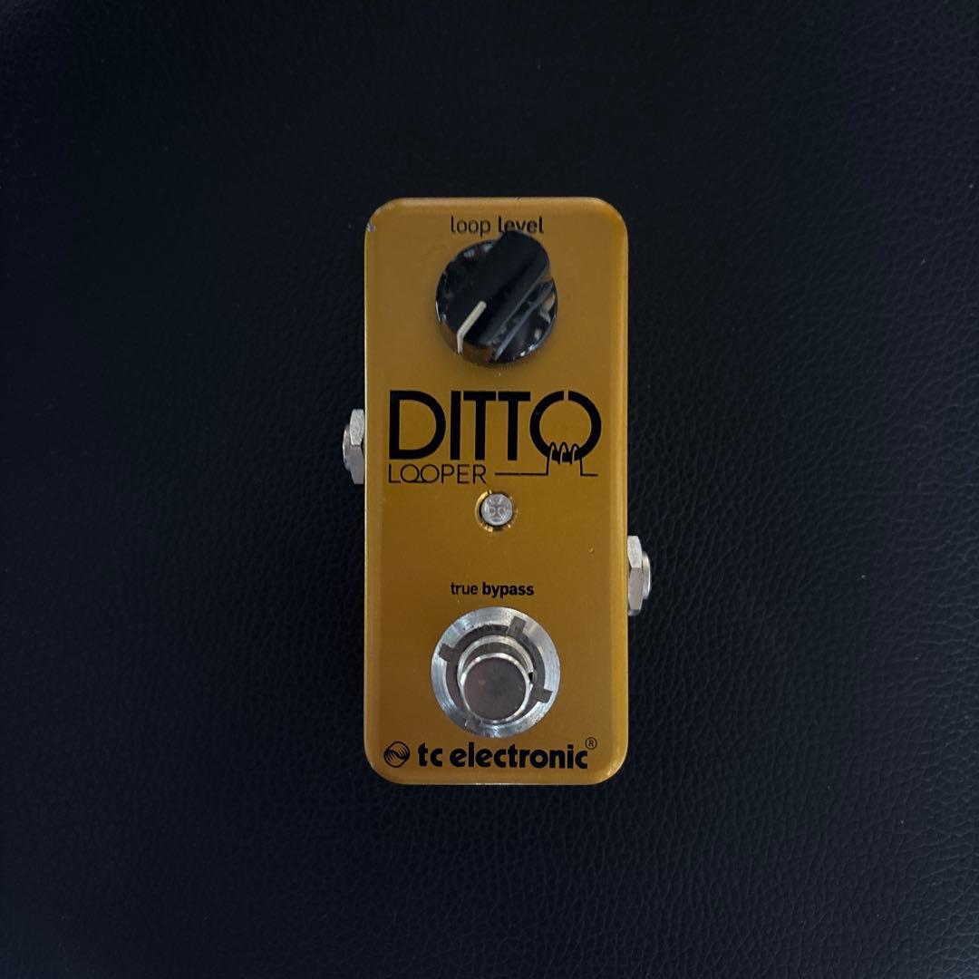 【used】tc electronic / DITTO LOOPER