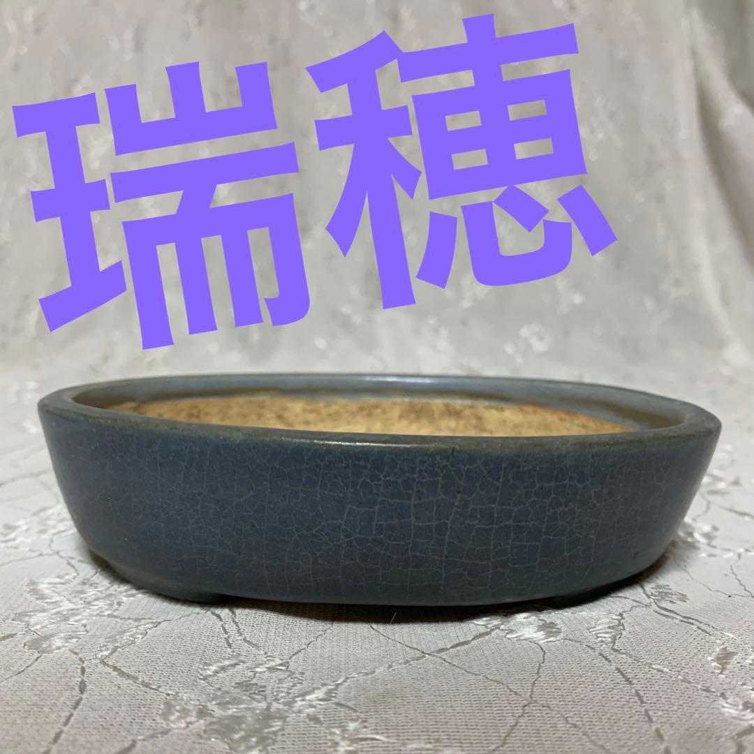 瑞穂　楕円　盆栽鉢