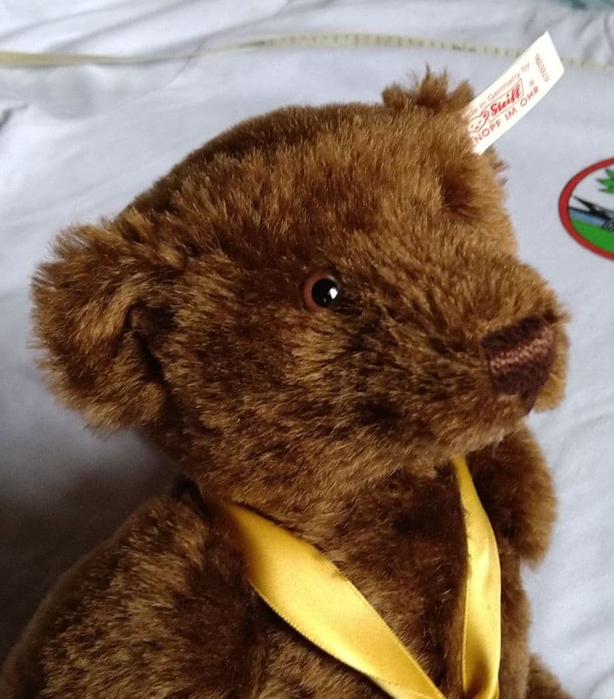 SALE•シュタイフ　アニバーサリーベア　値下げ