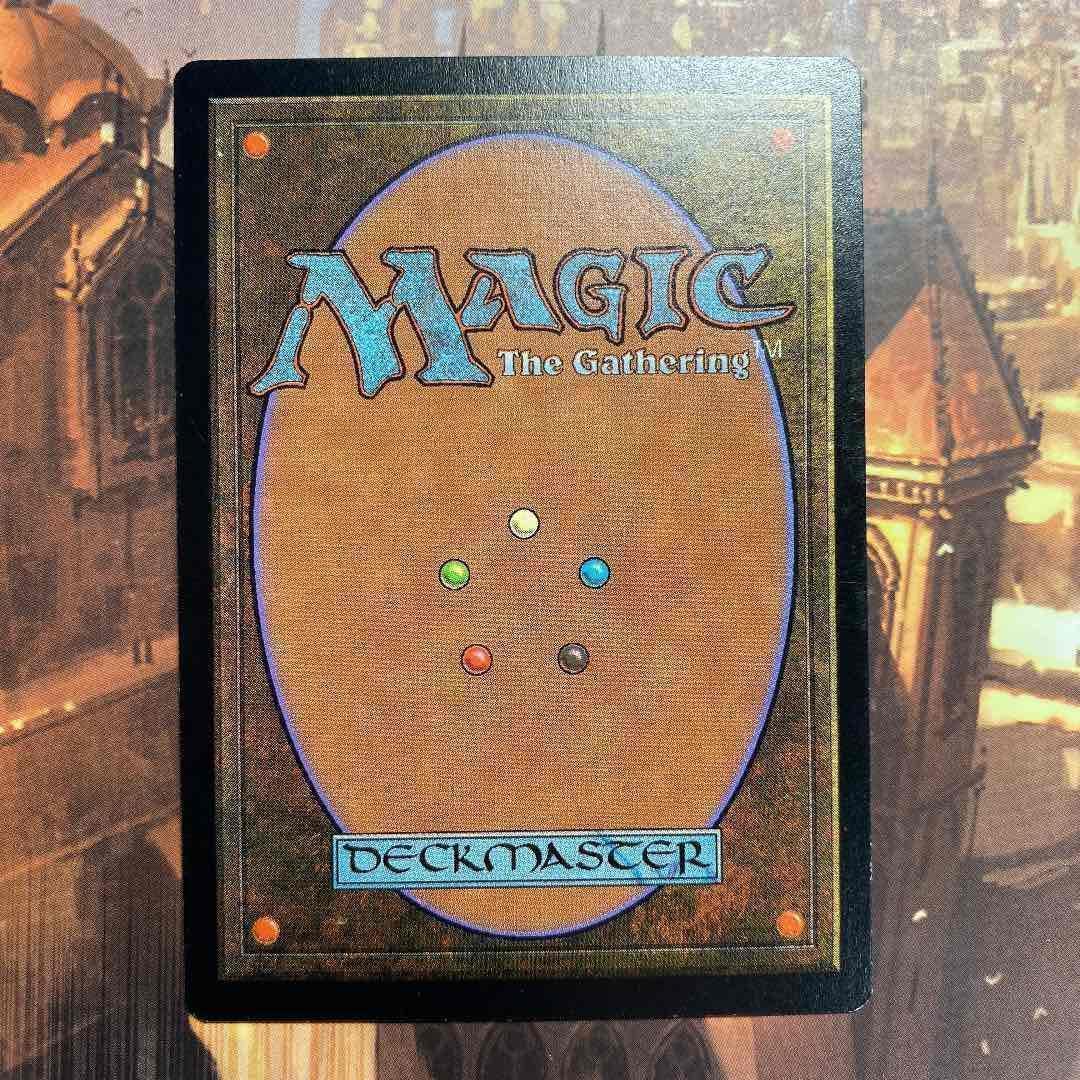 MTG 孫夫人 英語版