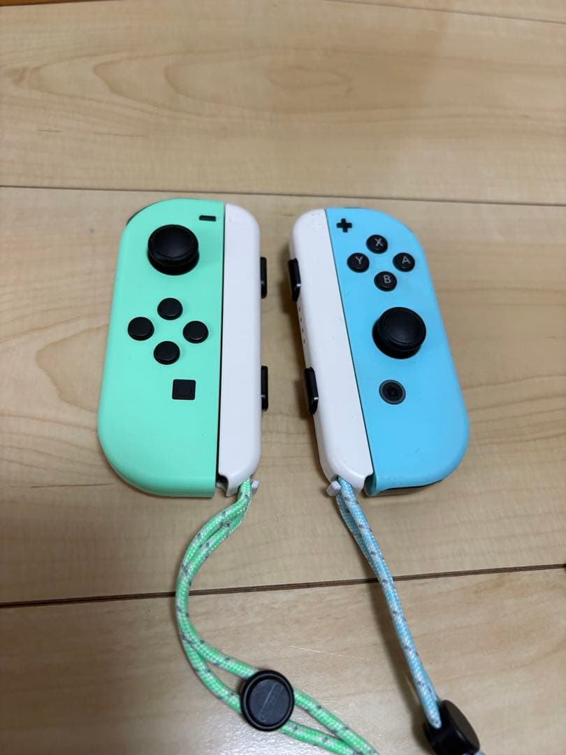 Nintendo Switch 本体　あつまれどうぶつの森セット　ソフトなし