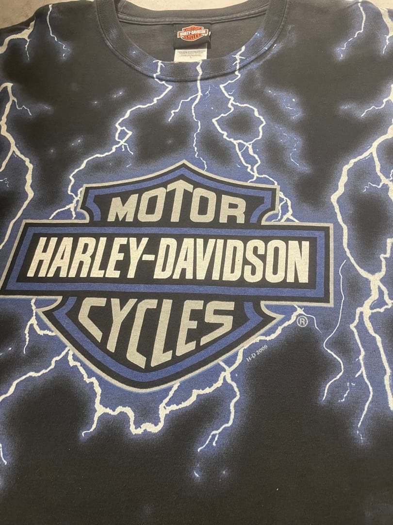 激レア！90sハーレーTシャツ！ブルーフレーム！