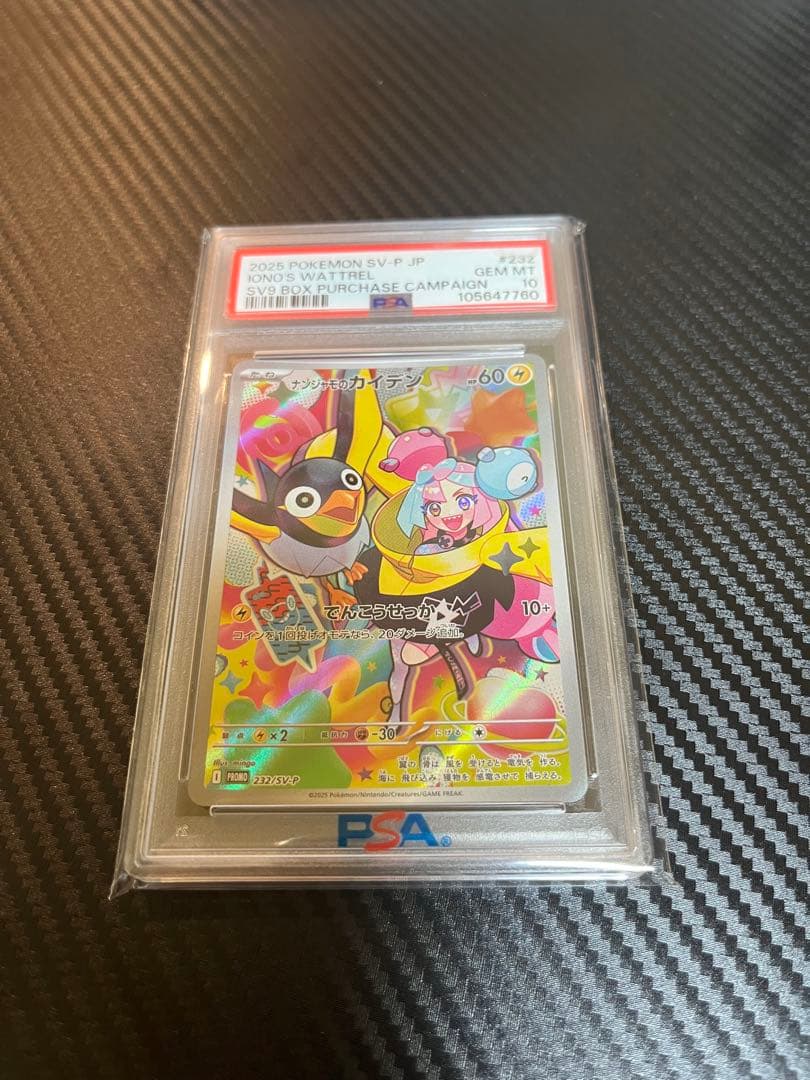 マリィのプライドリーリエのアブリボンナンジャモのカイデン ALL PSA10