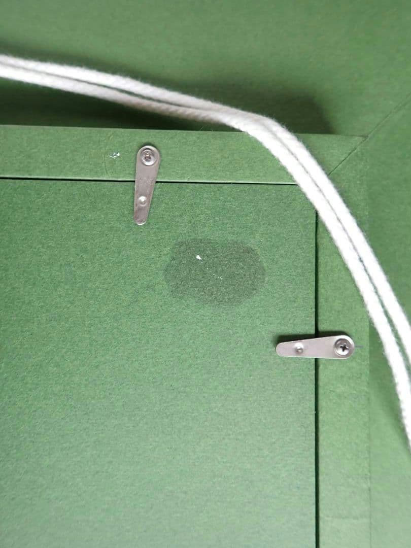 油彩画額縁 F4 デラグラスA 未使用 ペガサス S NA405223【送料込】