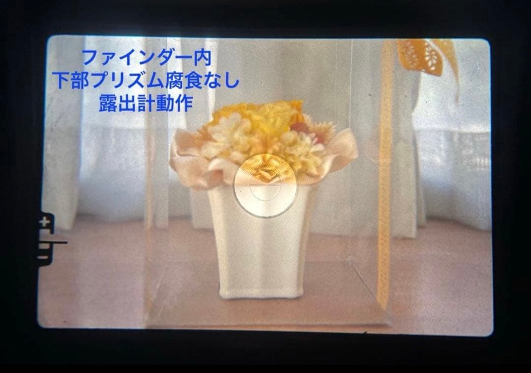 ★ OLYMPUS OM-1 + ★ MACRO 50mm