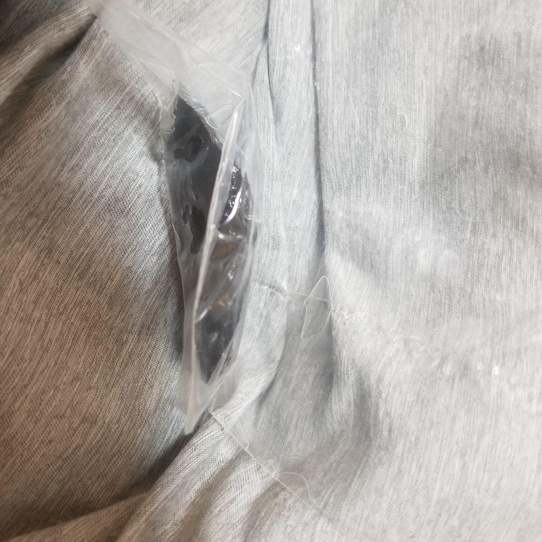 キャニオンディアブロ隕石　73g