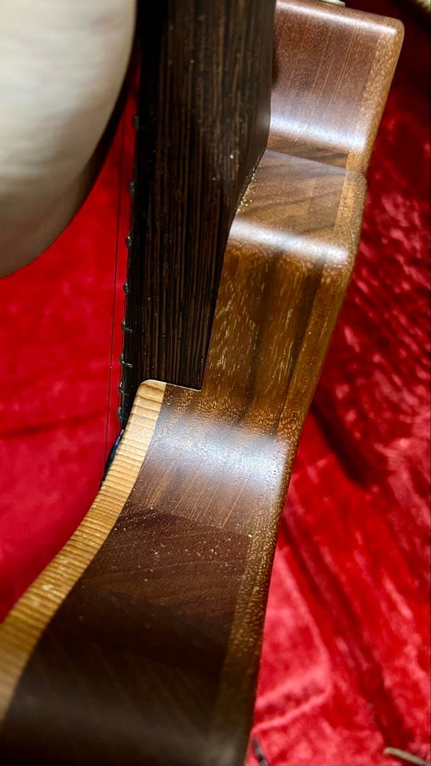 dragonfly maroon koppa コンポギター