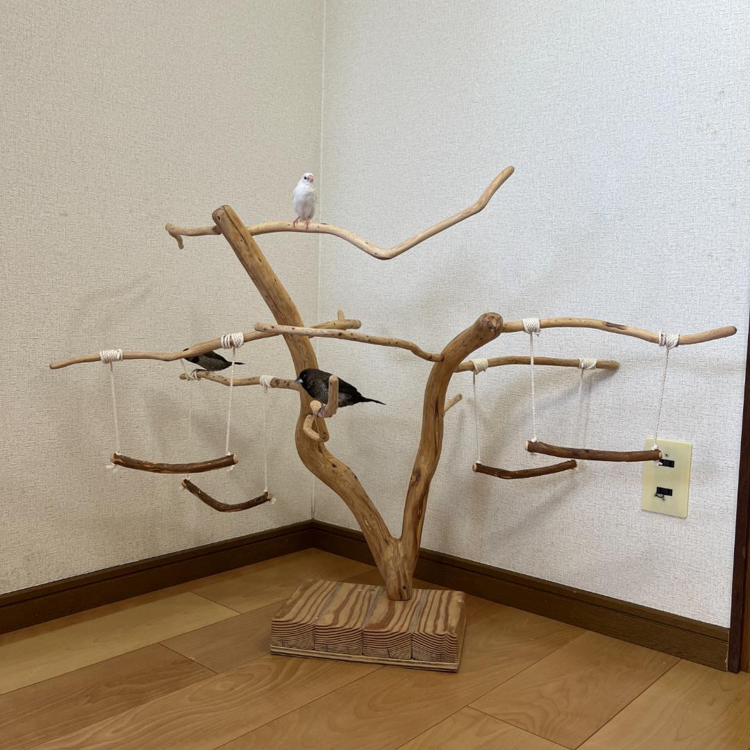 【小鳥用】ブランコ付くねくねバードアスレチック