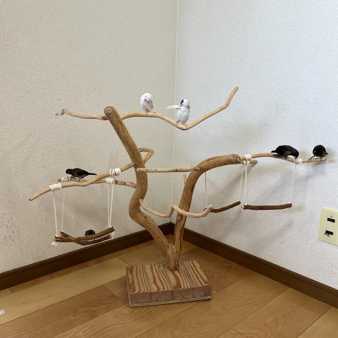 【小鳥用】ブランコ付くねくねバードアスレチック