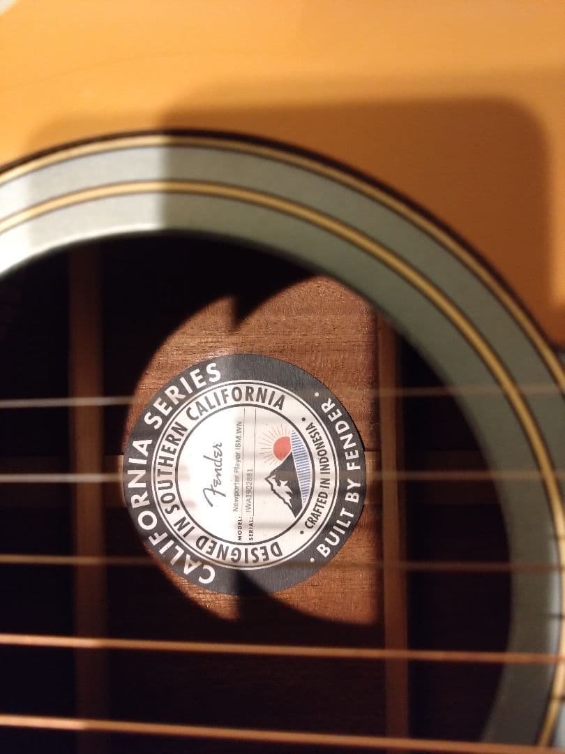 マ*ウ様 Fender Newporter Player エレアコ　難あり