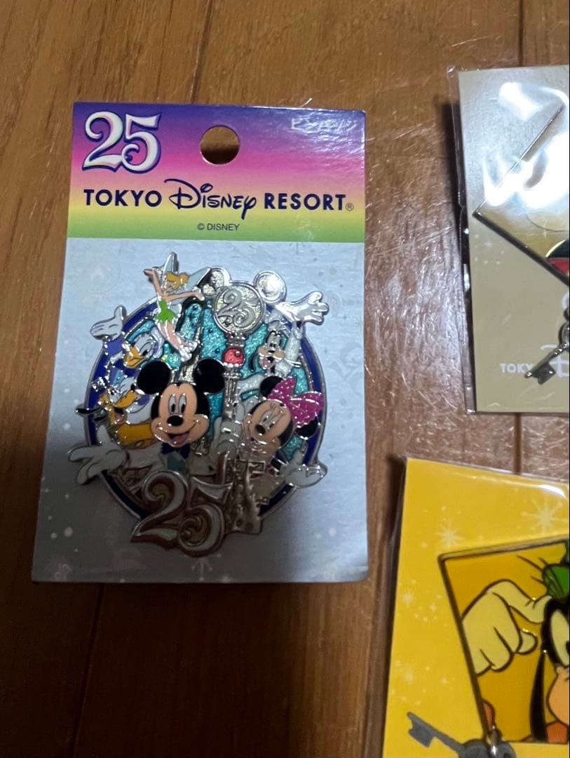 東京ディズニーリゾート 25周年 ピンバッジセット