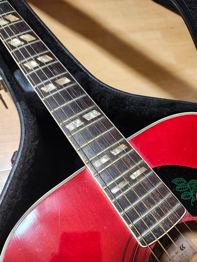 Aria DOVE CUSTOM WD-30/美品