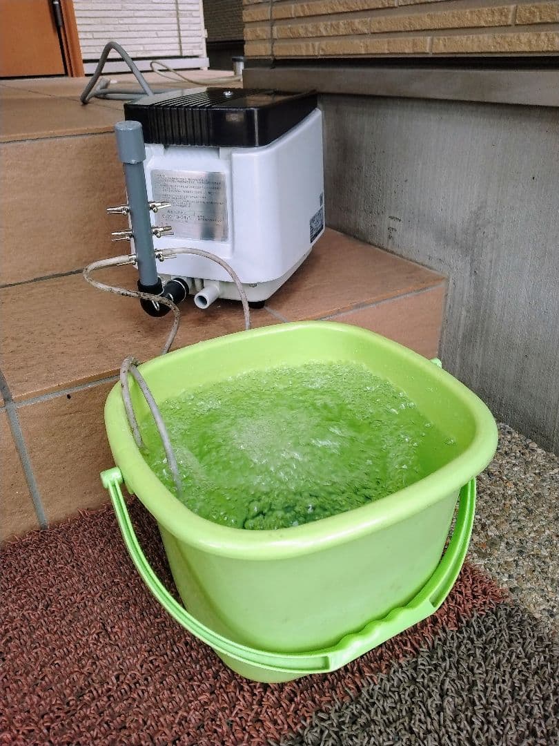 【100L 安永(MP-100WY)】ダイアフラム　エアポンプ　ブロワー　浄化槽