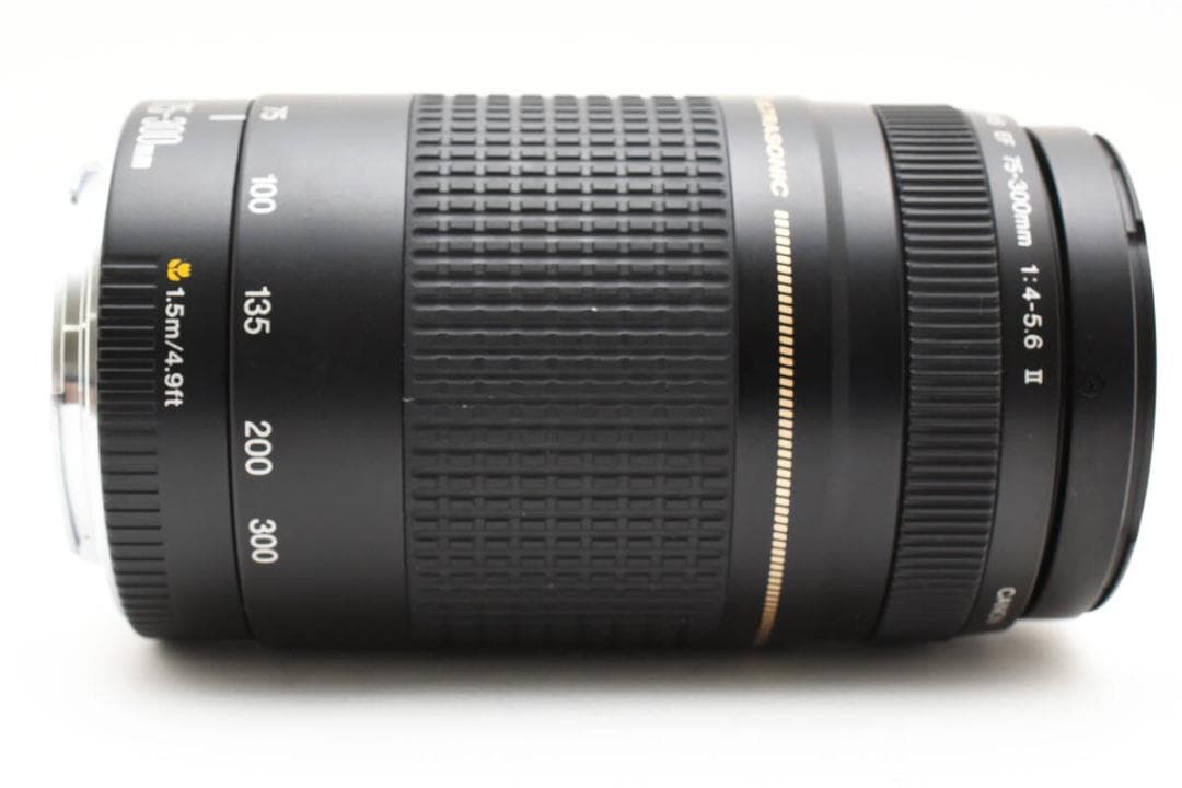 外観美品 Canon EF 75-300mm f4-5.6 II USM