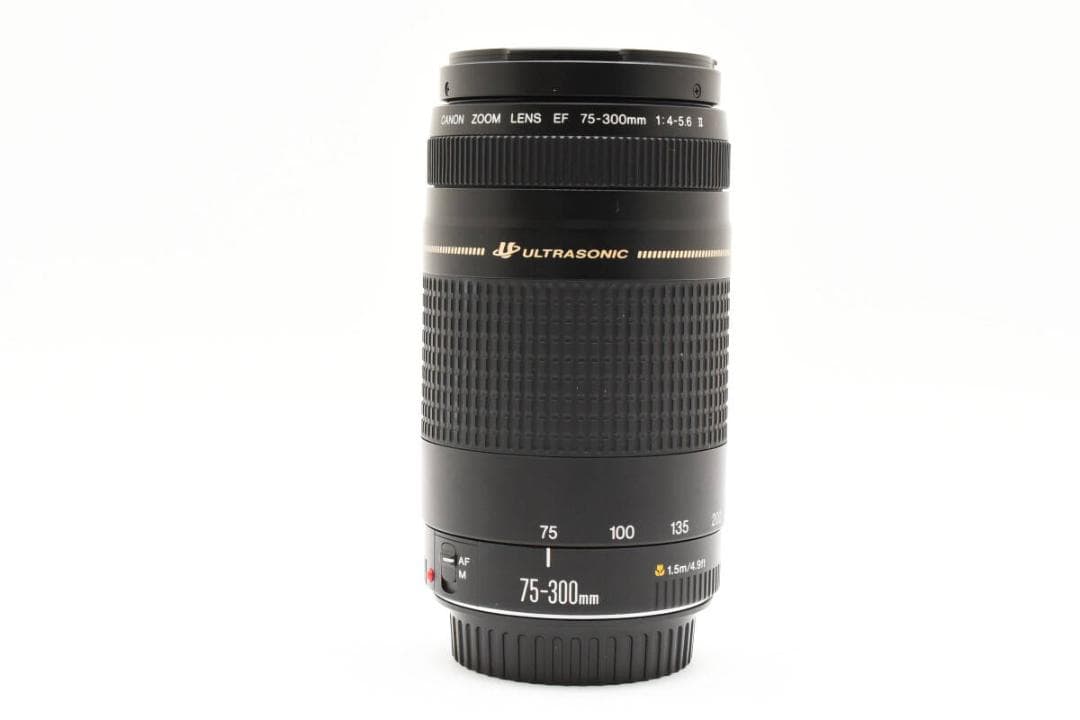 外観美品 Canon EF 75-300mm f4-5.6 II USM