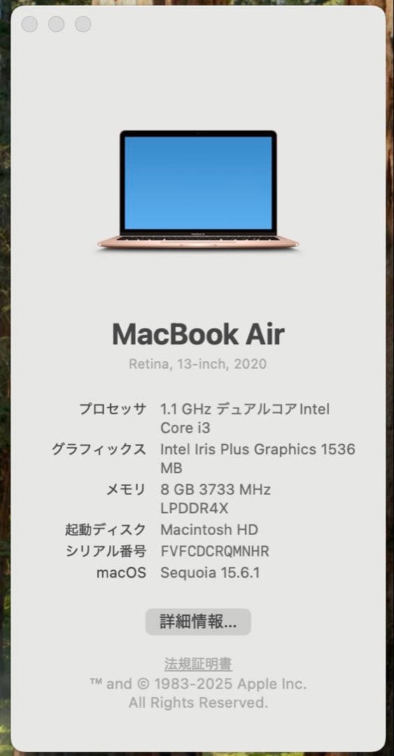 動作完璧❗️MacBook Air 2020 intel ゴールド