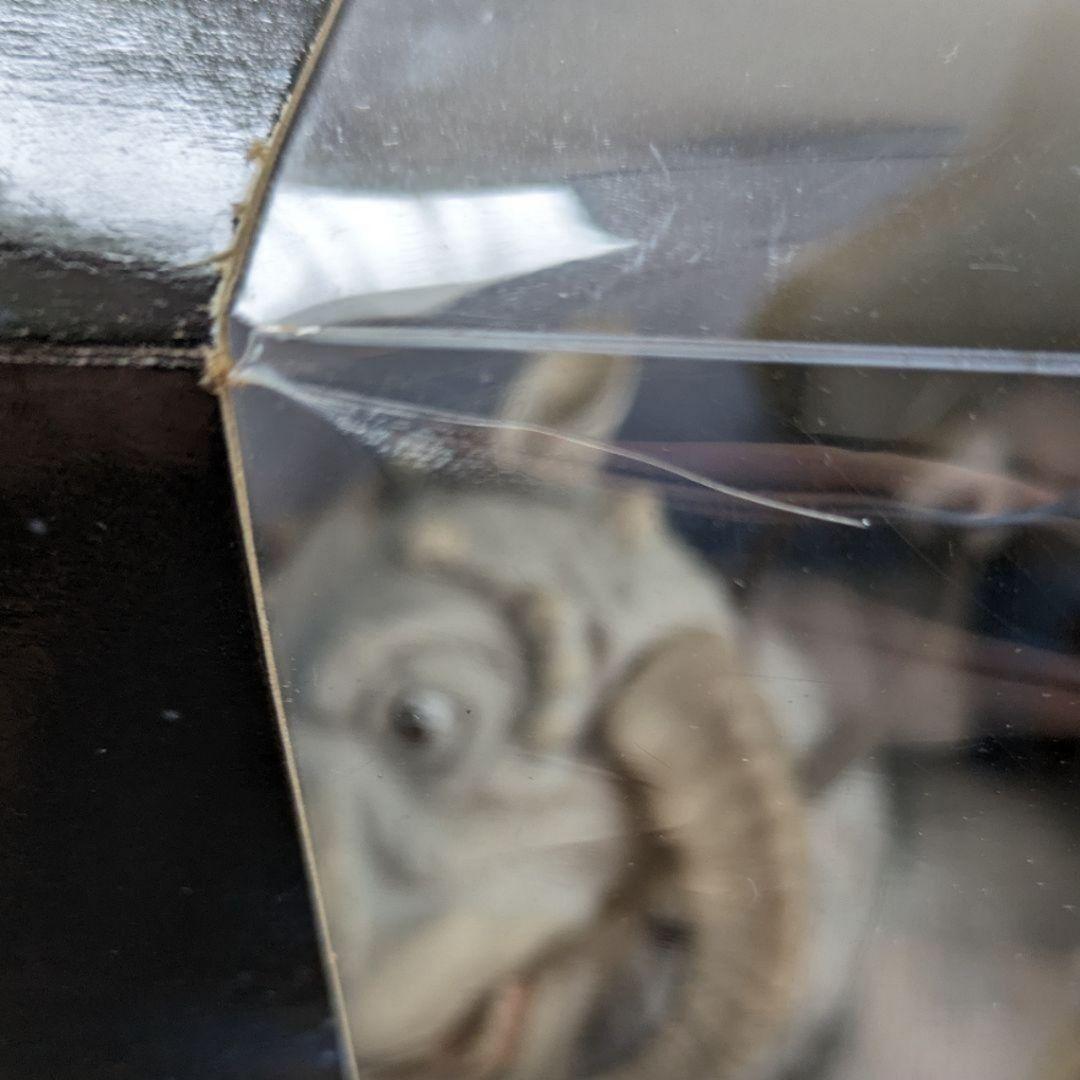 STARWARS スターウォーズ ハンソロ トーントーン フィギュア ケナー