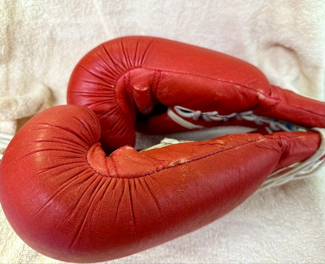 Winning ボクシンググローブ 10 oz 赤　ソフトタイプ