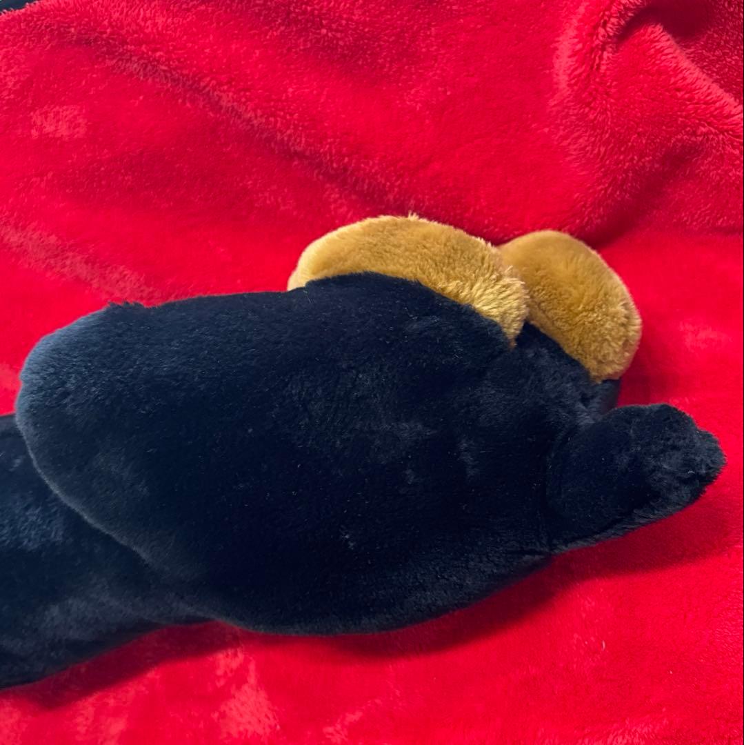⭐︎希少　大きな番犬　ぬいぐるみ　ドーベルマン？ロットワイラー？　寝そべり
