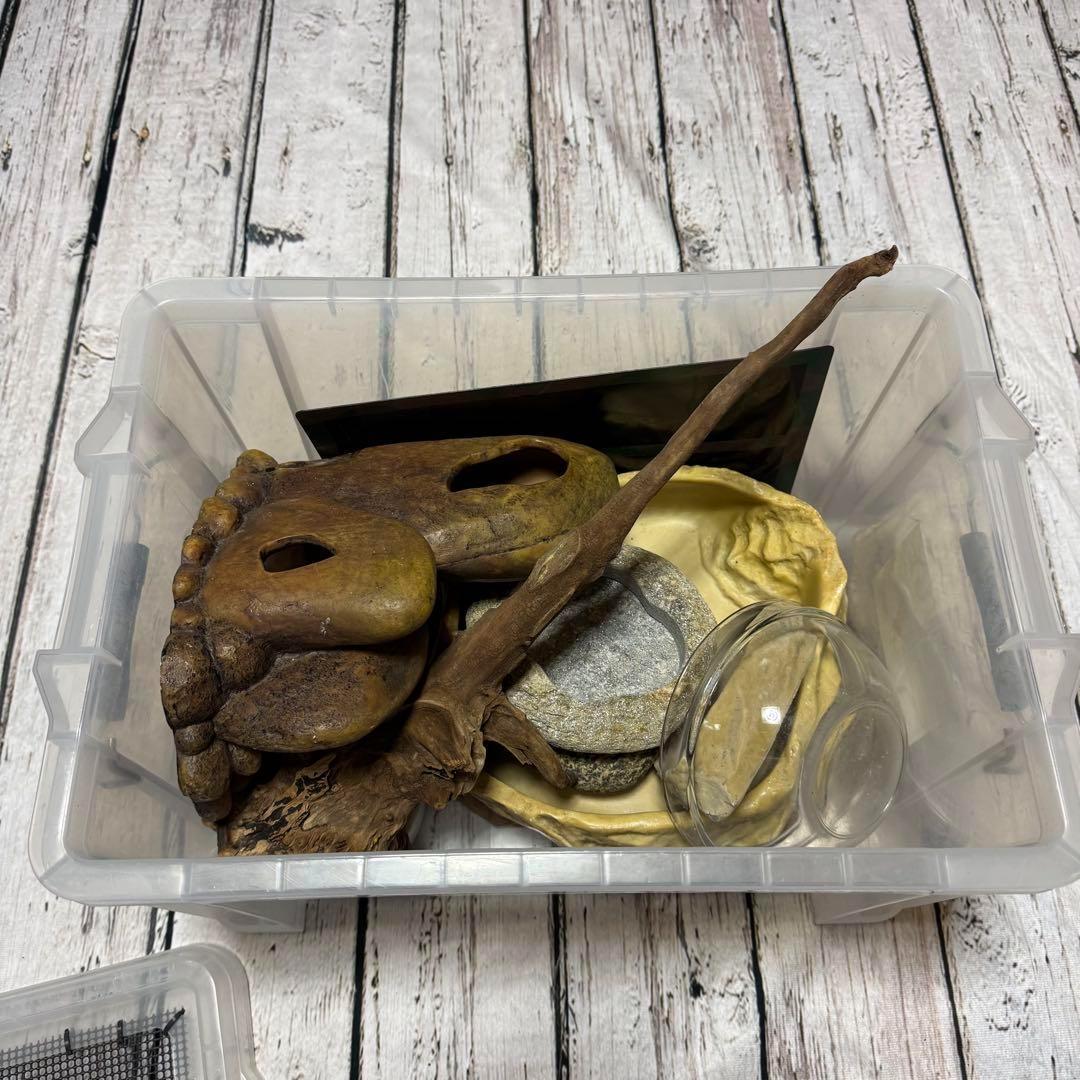 超お買い得セット　匿名配送　送料無料　飼育用品セット　餌皿　エキゾテラ　ボックス