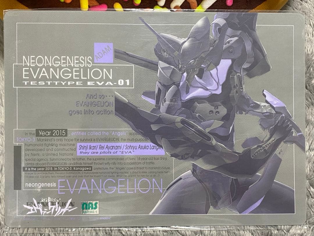 【貴重品】新世紀エヴァンゲリオン B5サイズ下敷き　10枚セット