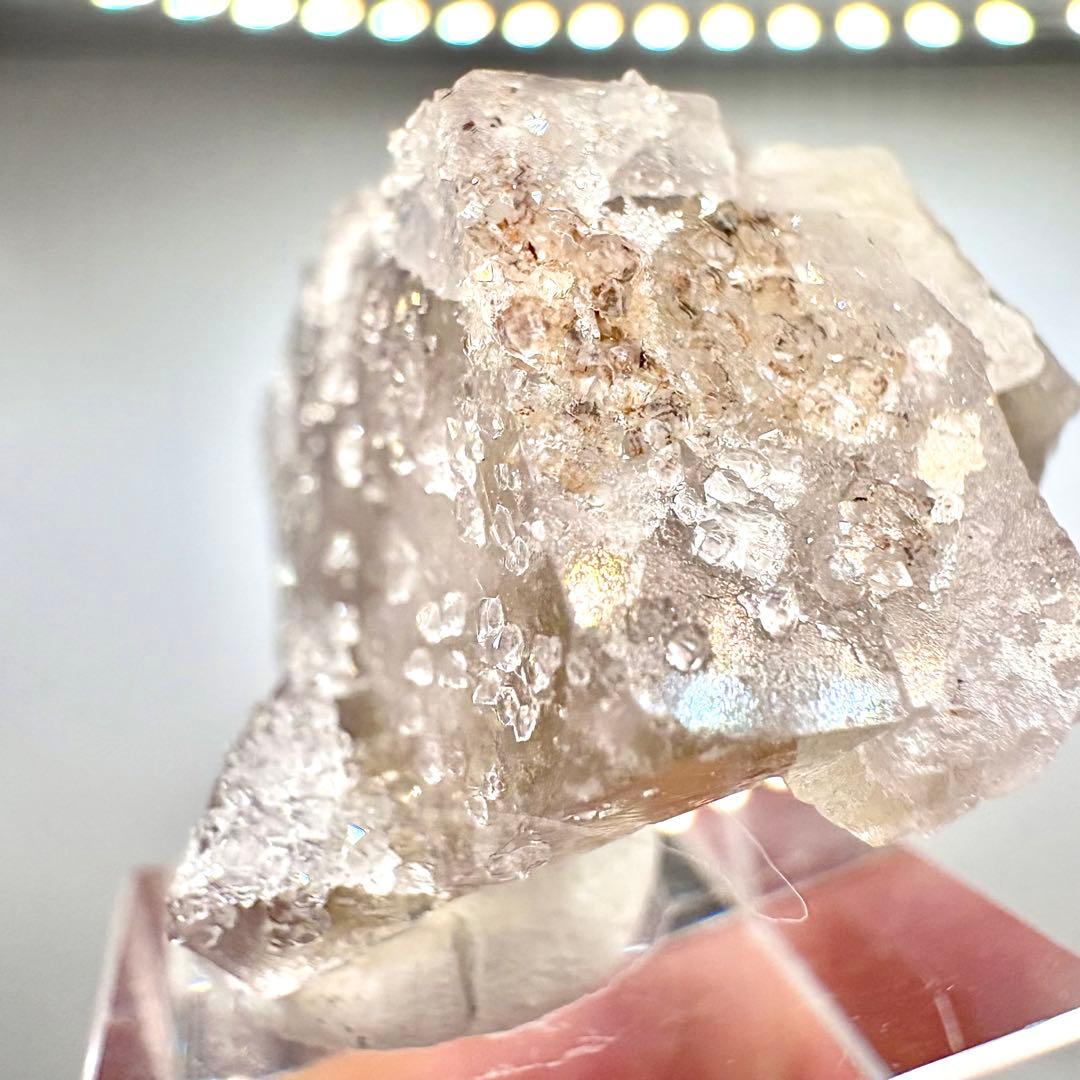 581 イギリス　シェリーツインズポケット　フローライト