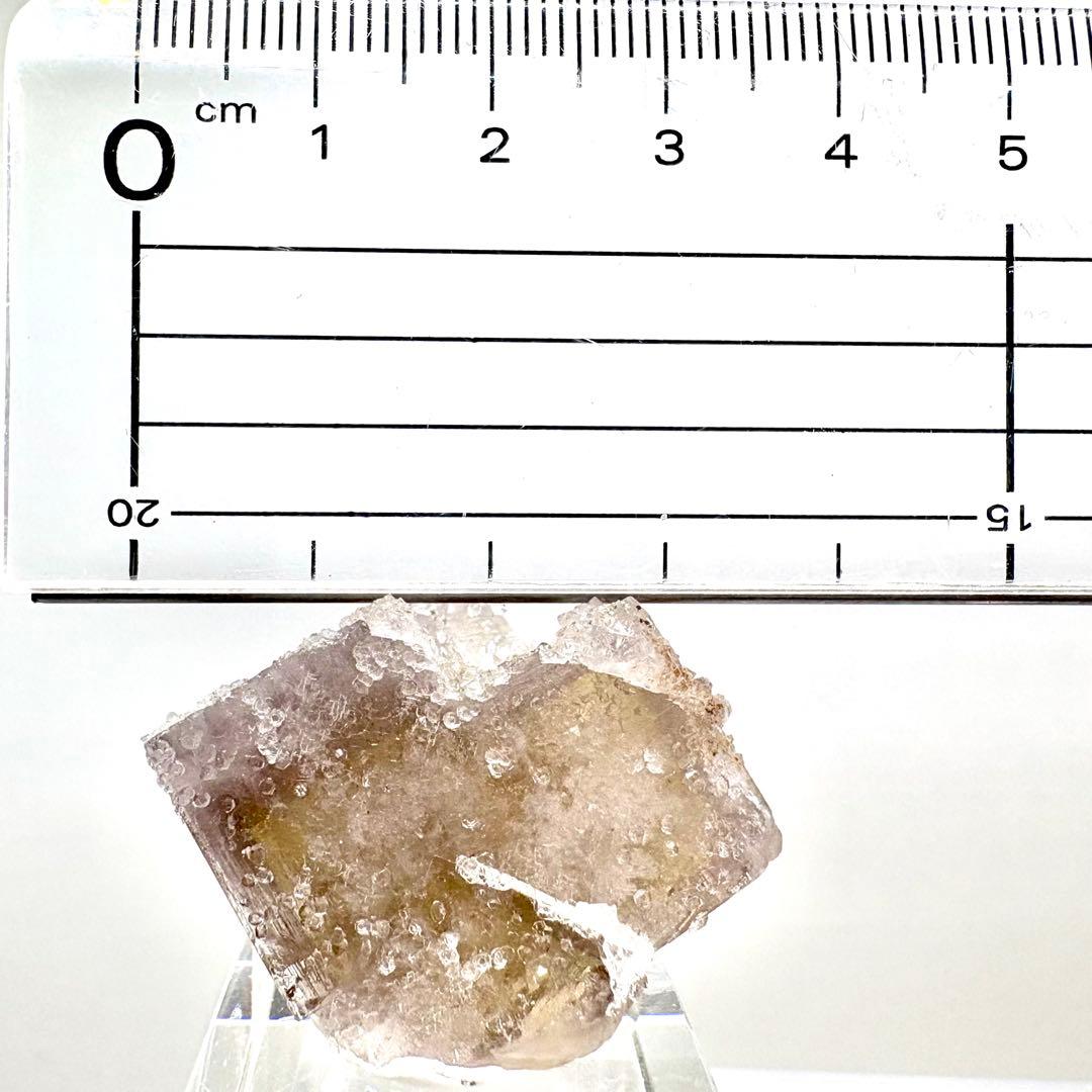 581 イギリス　シェリーツインズポケット　フローライト