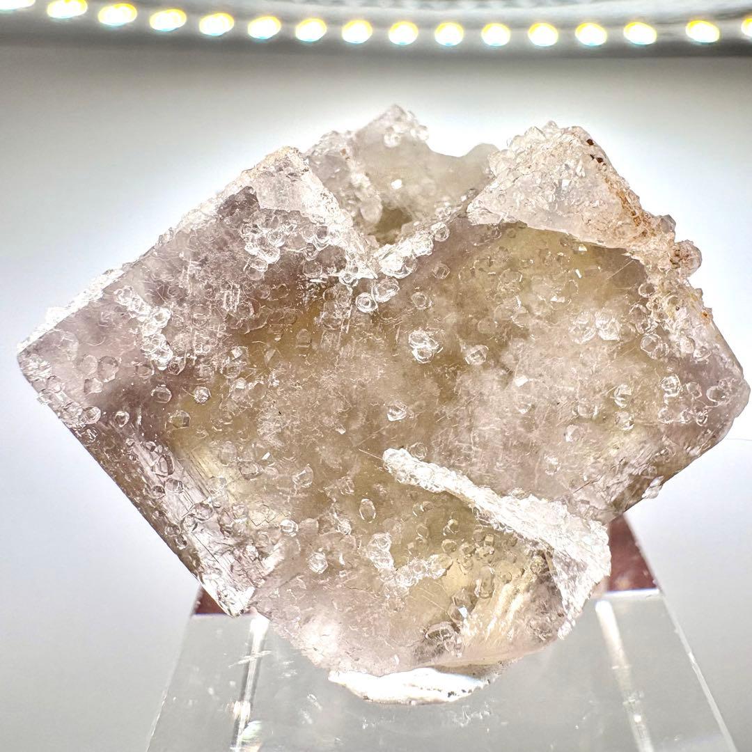 581 イギリス　シェリーツインズポケット　フローライト