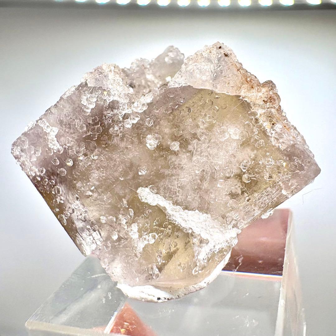 581 イギリス　シェリーツインズポケット　フローライト