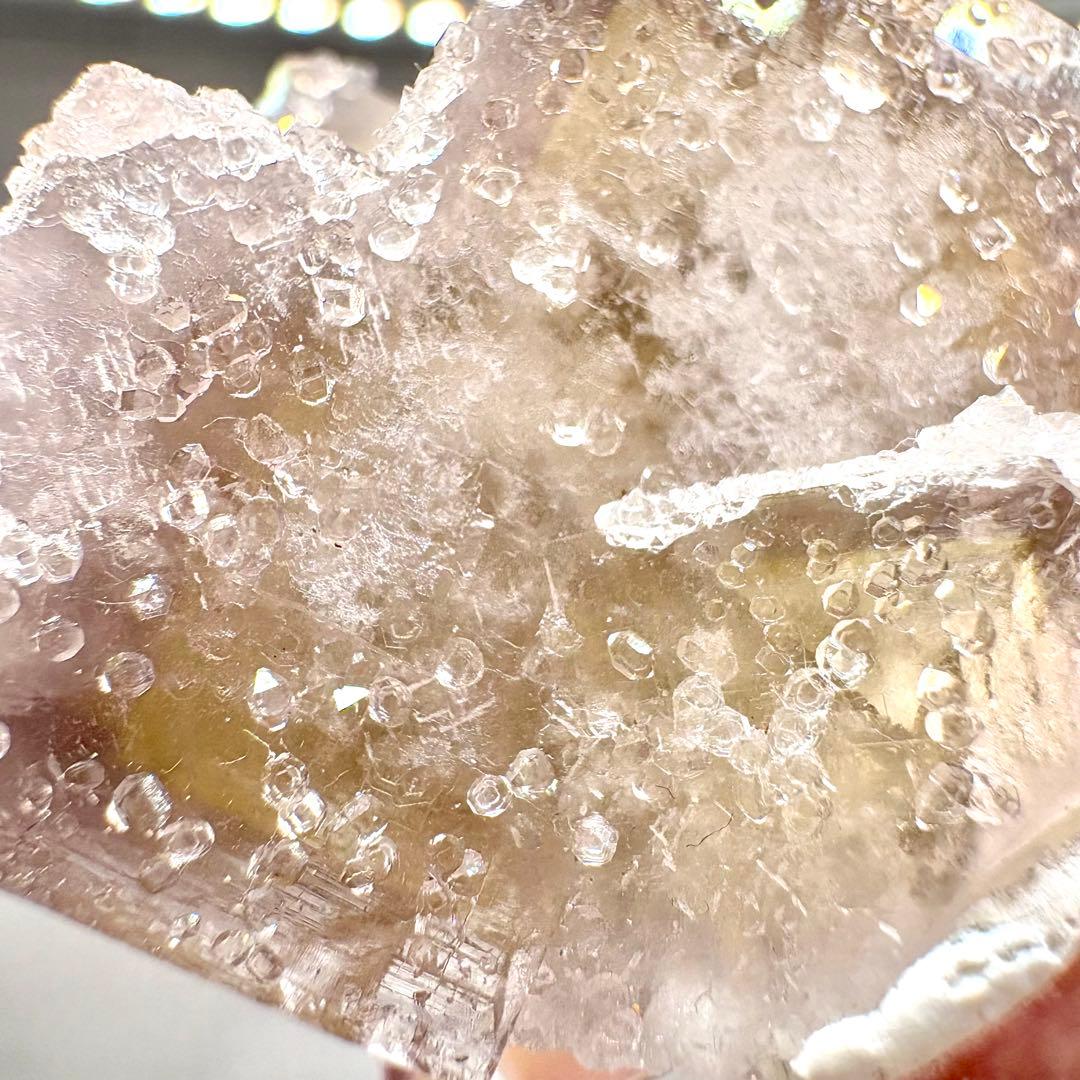 581 イギリス　シェリーツインズポケット　フローライト