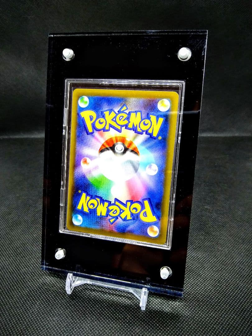 アルパカさま専用 黒オーダー品