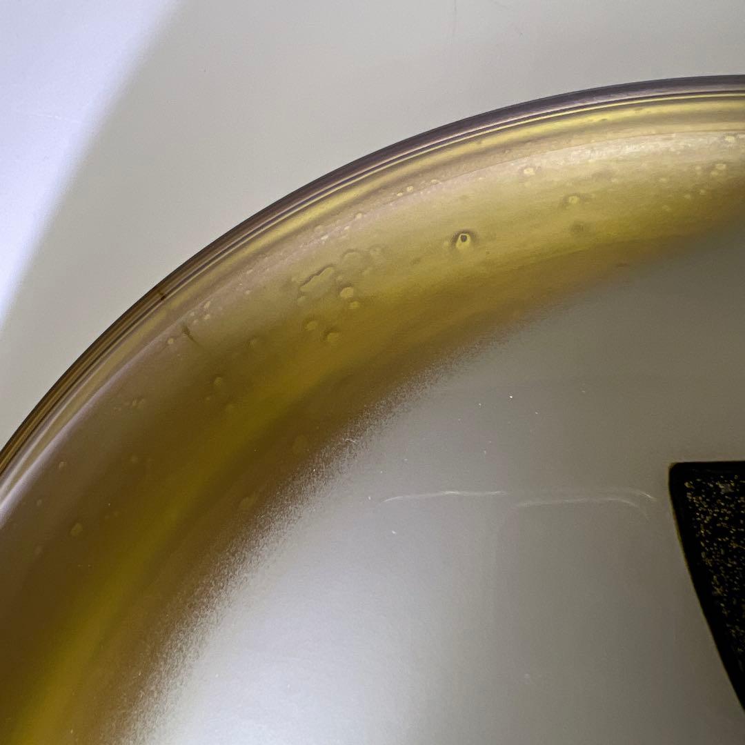 輪島塗　一后造クリスタルガラス蒔絵盛皿　共箱　26.5㎝　東Y7-0716③