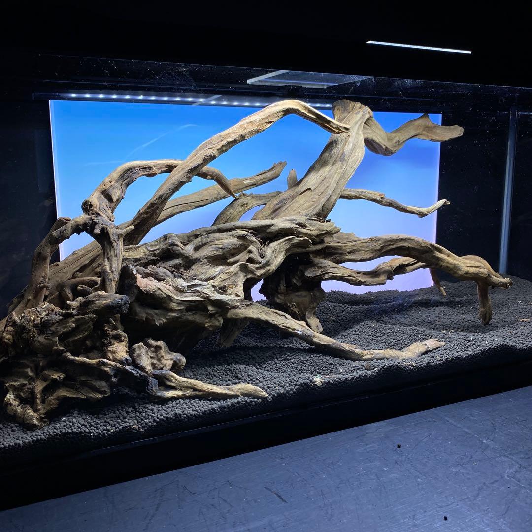 MSRW-6382 天然流木レイアウトセット　スリムウッド　アクアリウム