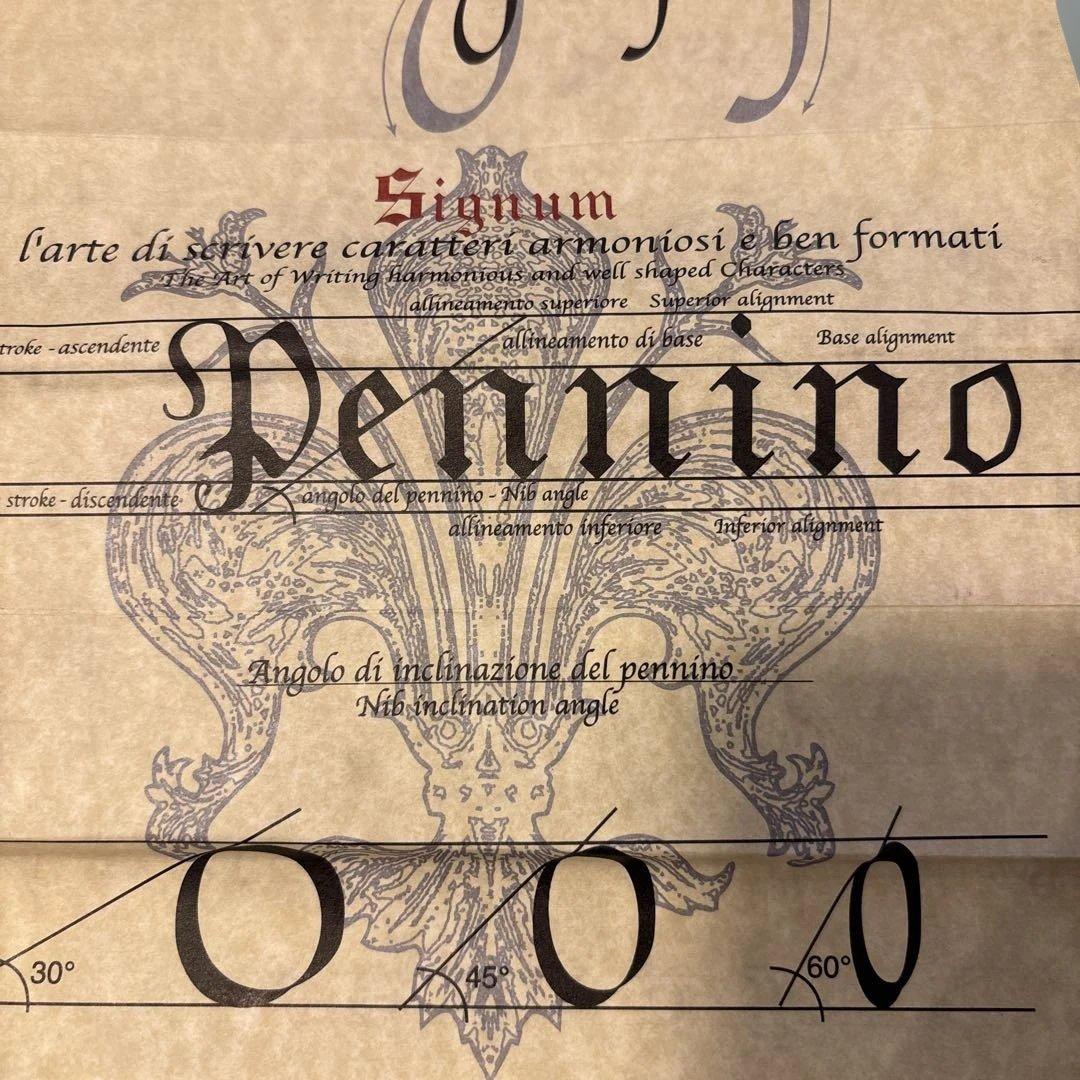 Signum Pennino アンティークペンとインクセット