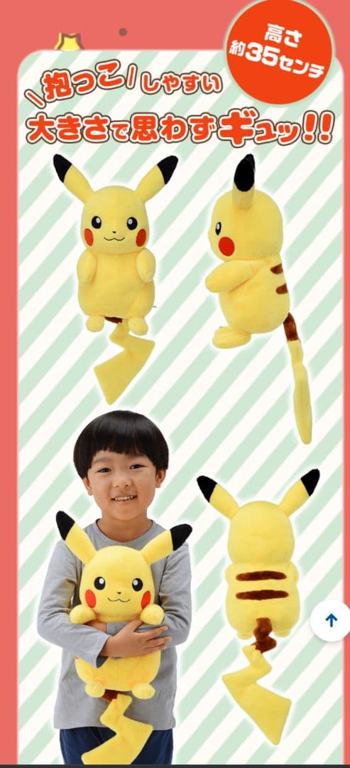 ポケモンぬいぐるみ　だっこして！ピカチュウ