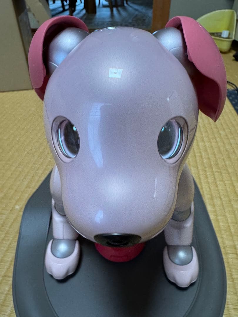 aibo本体　いちごミルク色　限定色