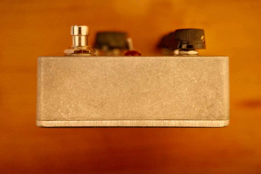 ギター Fairfield Circuitry - Roger That