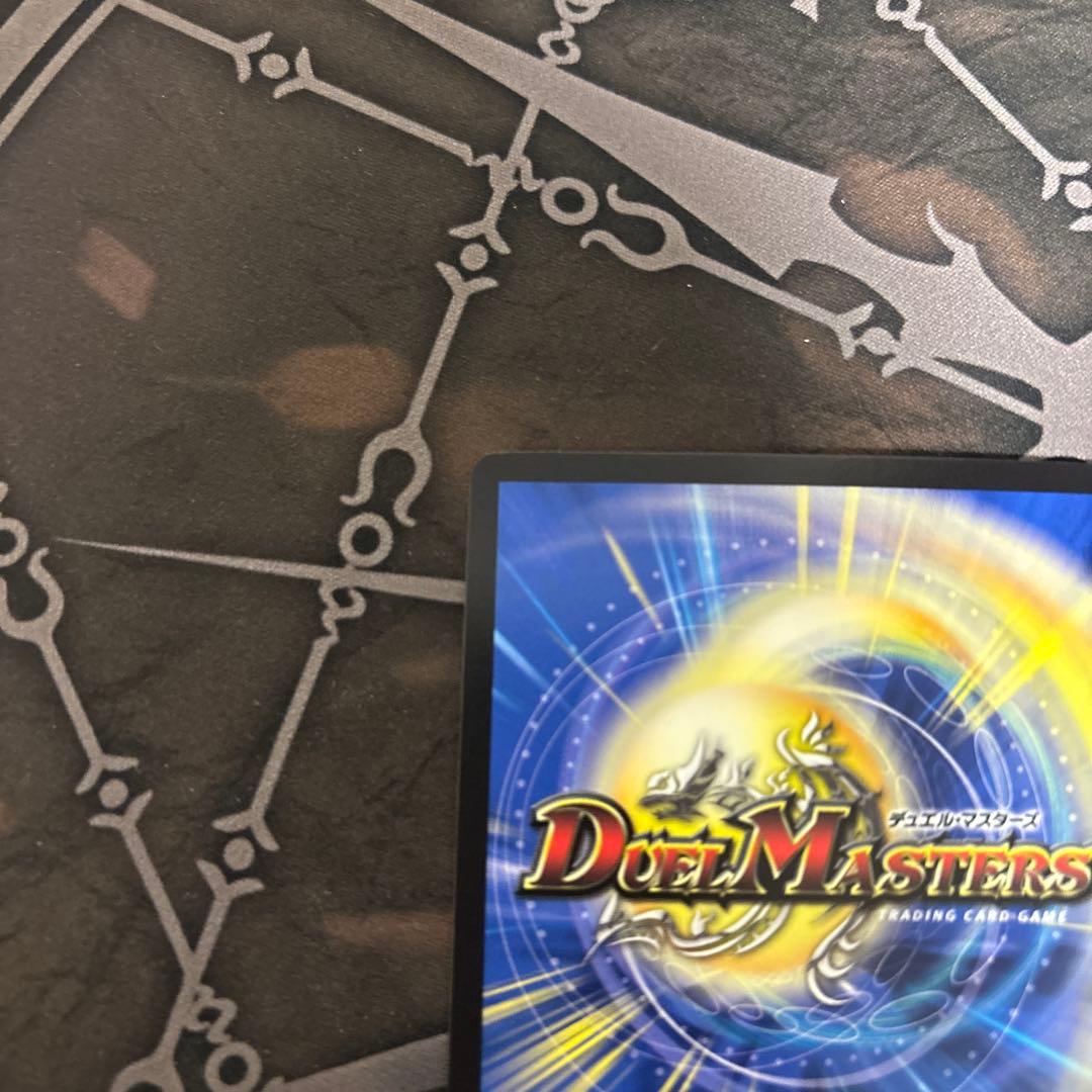 シャコガイル　b