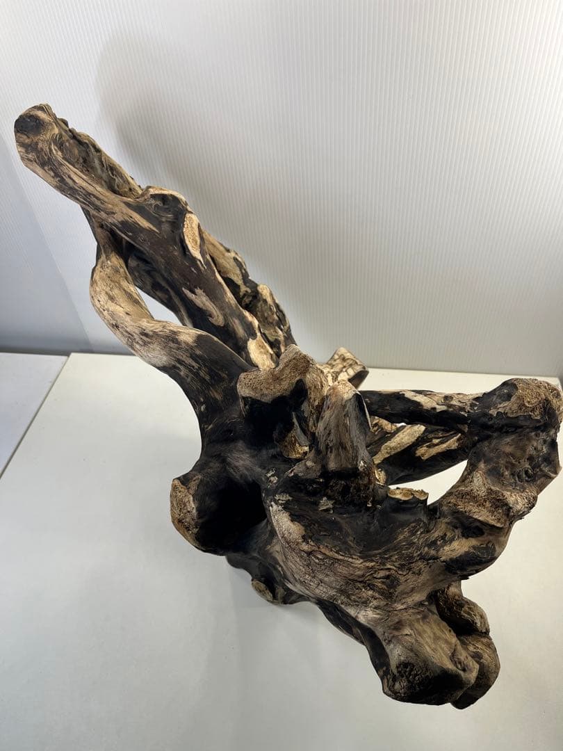 k90特大流木 アク抜き済み 爬虫類シェルター レイアウト用 登り木 インテリア