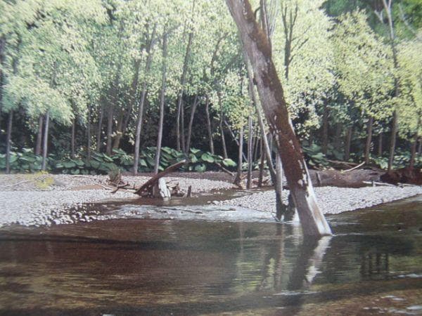 百瀬智宏【水無月の蝉時雨】希少画集画、状態良好、新品高級額装付