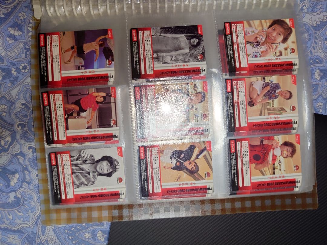 ＲＯＵＮＤ１プロボウラーカード