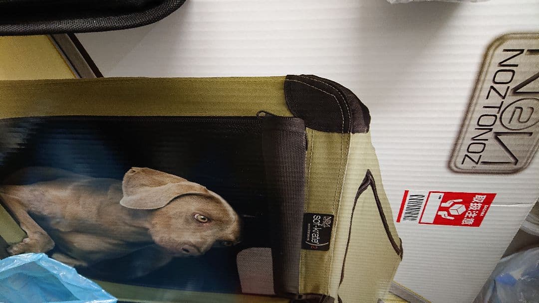 家族の一員わんちゃんが喜ぶソフトクレートXL カーキ