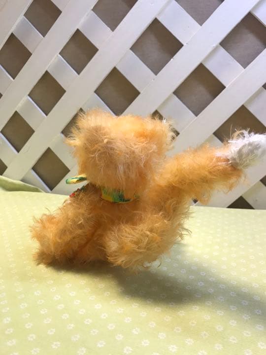 しっぽの長い座ったベア