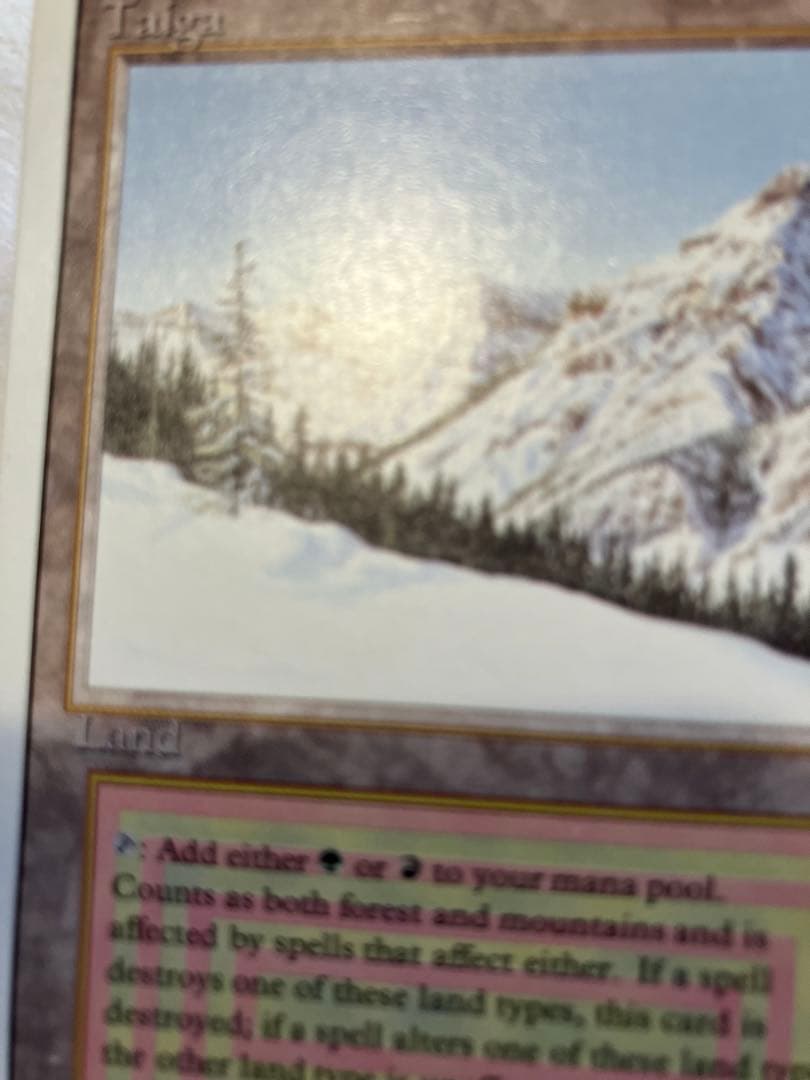 マジック:ザ・ギャザリング MTG Taiga