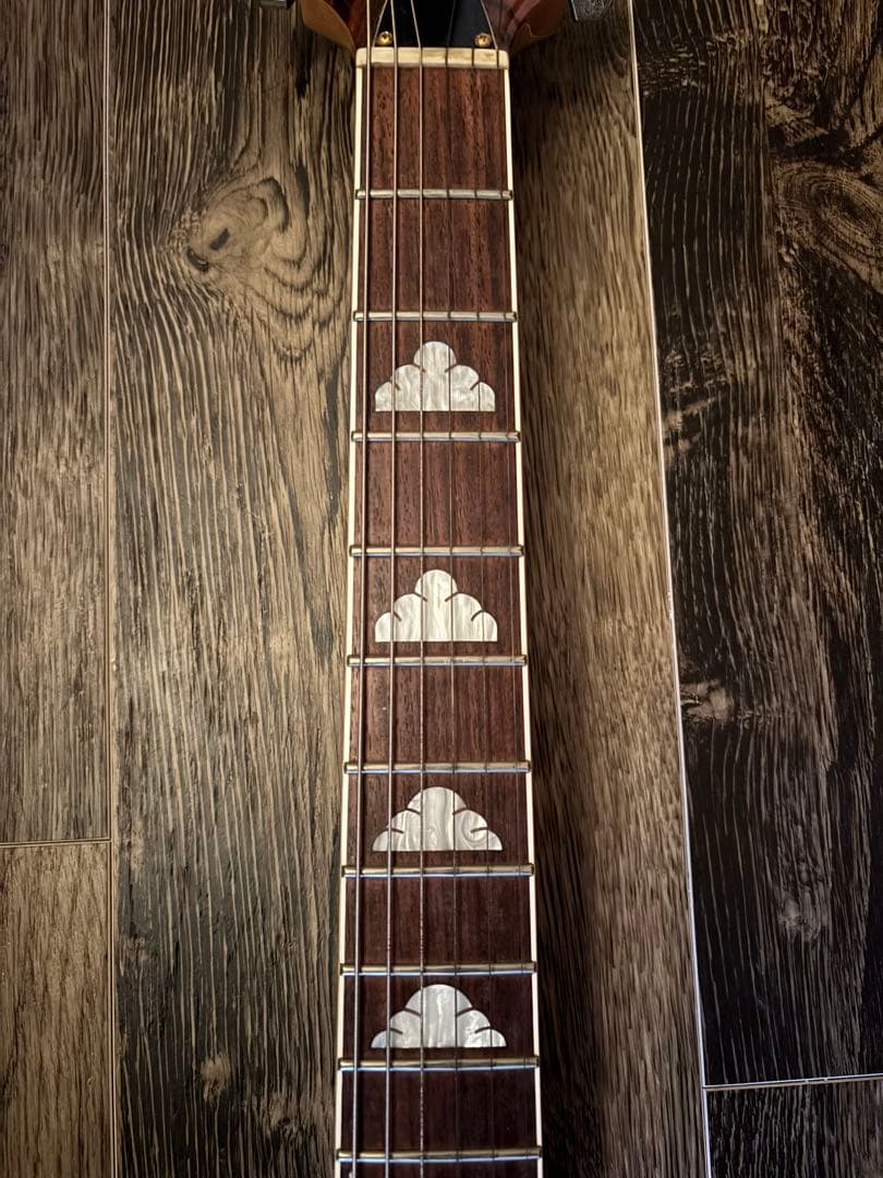 FERNANDES MG-80X hideモデル　モッキンバード