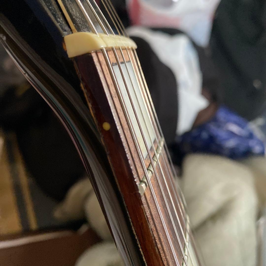 Grass Roots エレキギター パープル