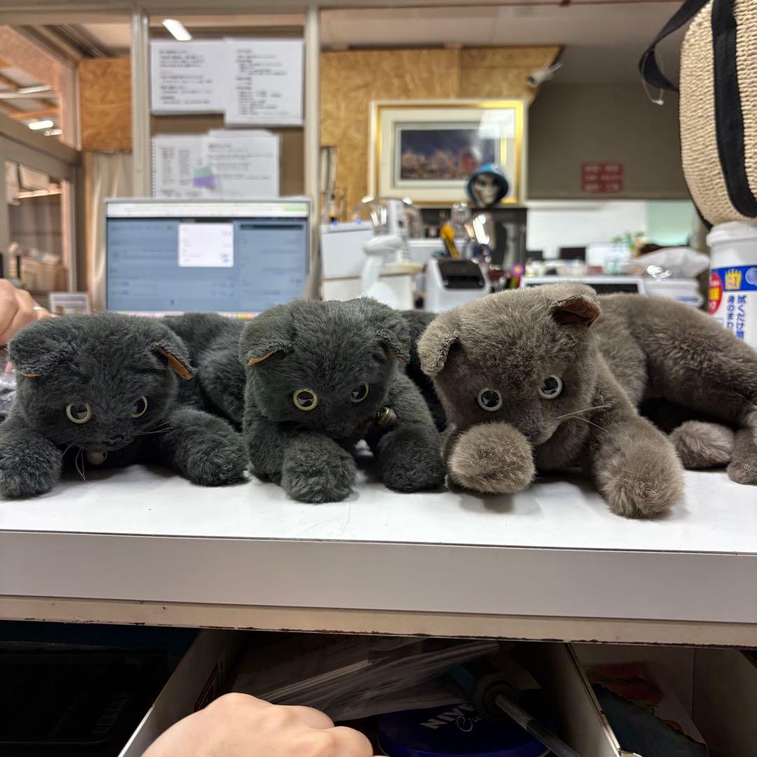 寺222 希少 ビンテージ 日本製 童心 猫 ねこ ぬいぐるみ レトロ